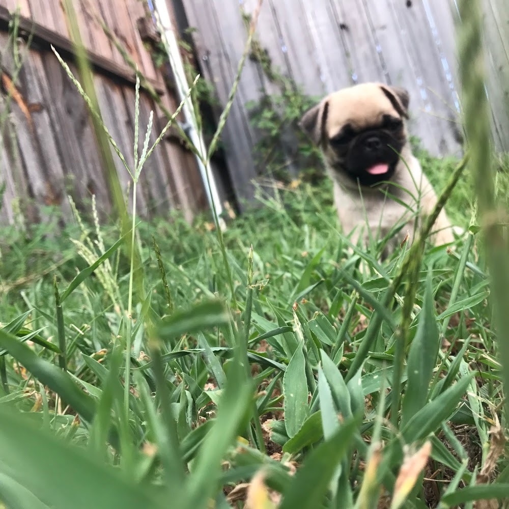 Meet your Posher, Arleth